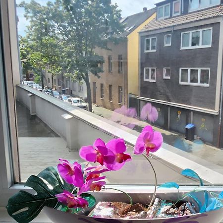 Elena Flat Orchidee Duisburg Zentrum Bagian luar foto