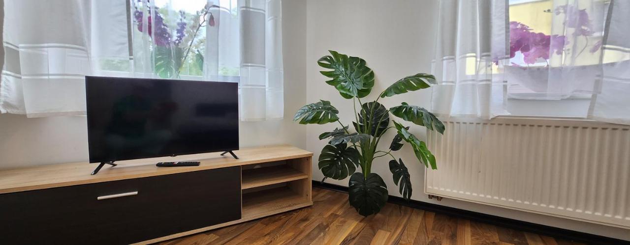 Elena Flat Orchidee Duisburg Zentrum Bagian luar foto