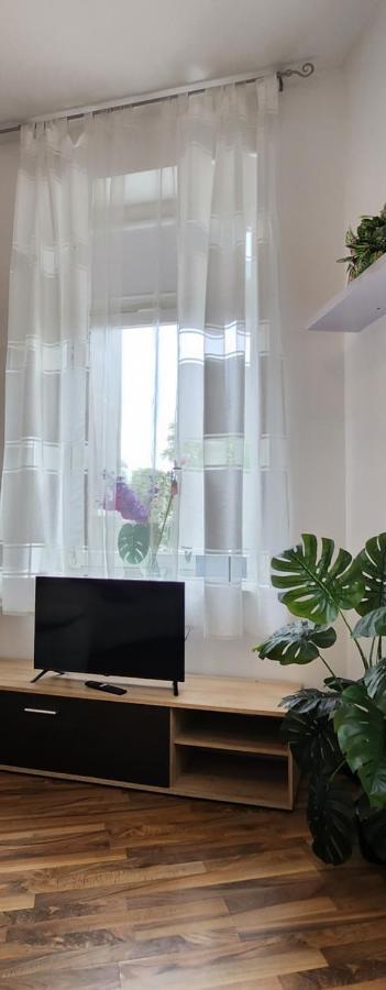 Elena Flat Orchidee Duisburg Zentrum Bagian luar foto