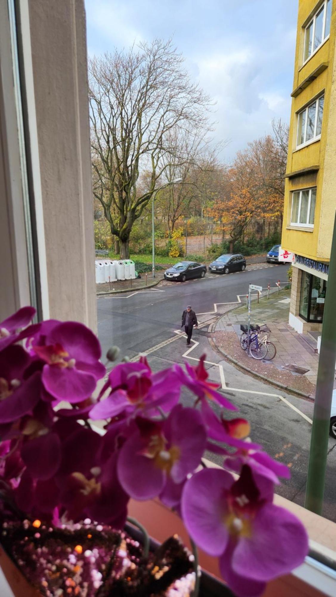Elena Flat Orchidee Duisburg Zentrum Bagian luar foto