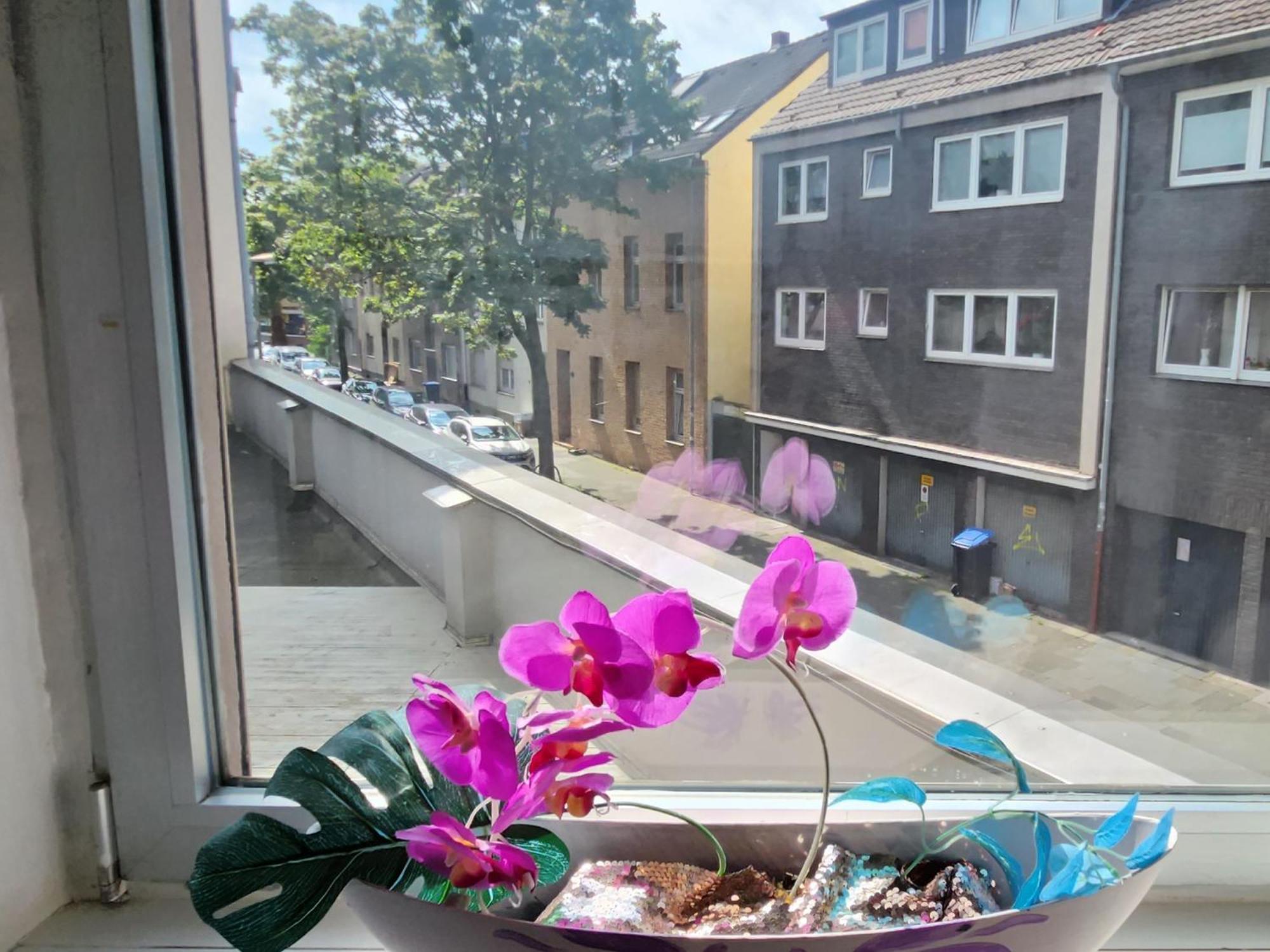 Elena Flat Orchidee Duisburg Zentrum Bagian luar foto
